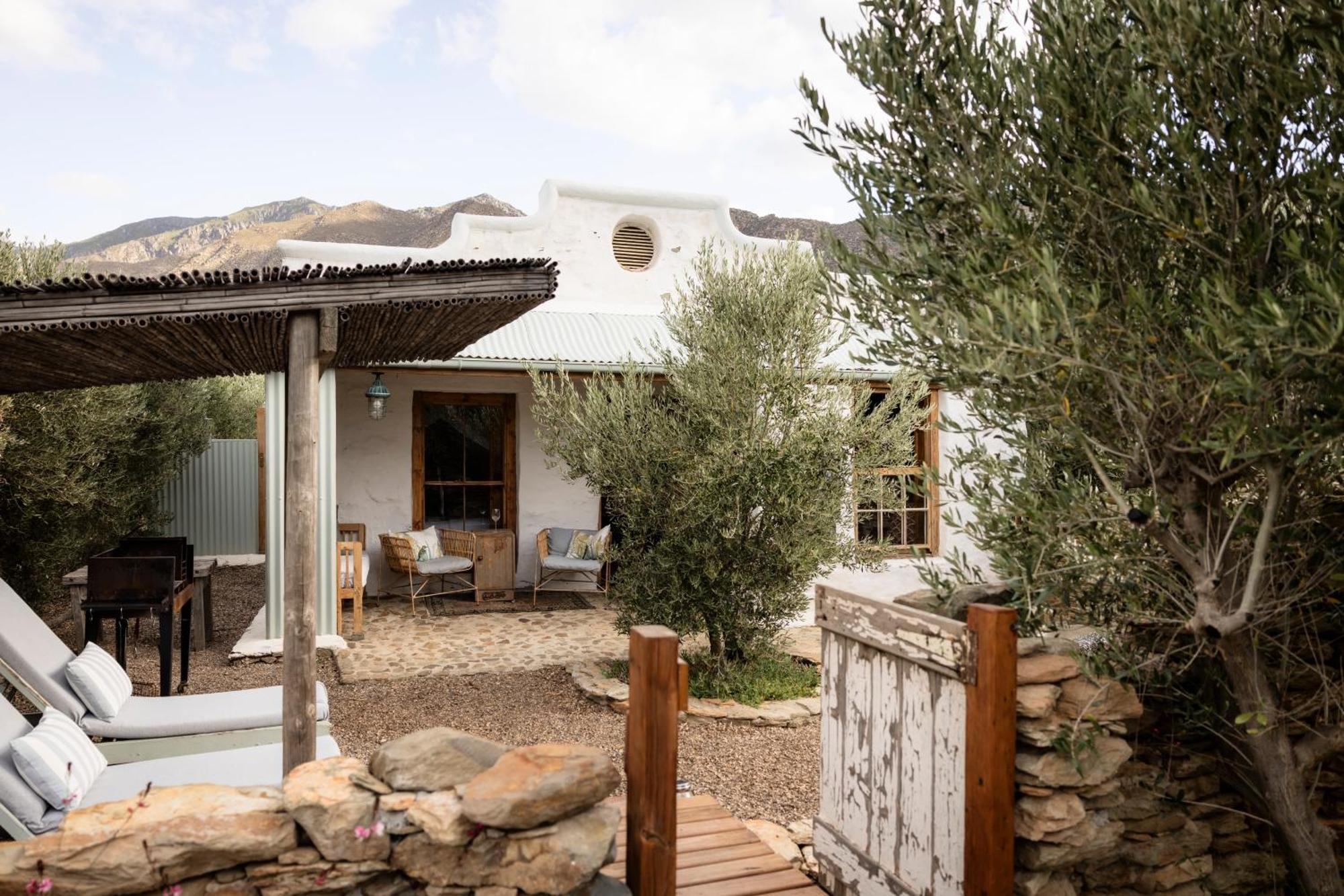 Olive Stone Farm Cottages مونتاغو المظهر الخارجي الصورة