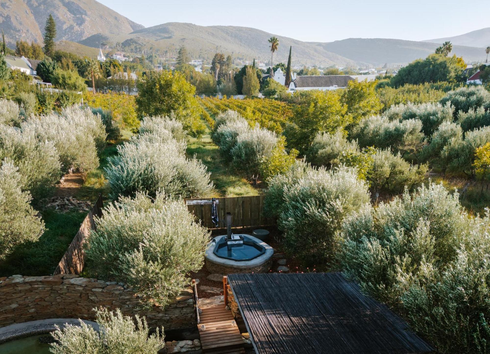 Olive Stone Farm Cottages مونتاغو المظهر الخارجي الصورة